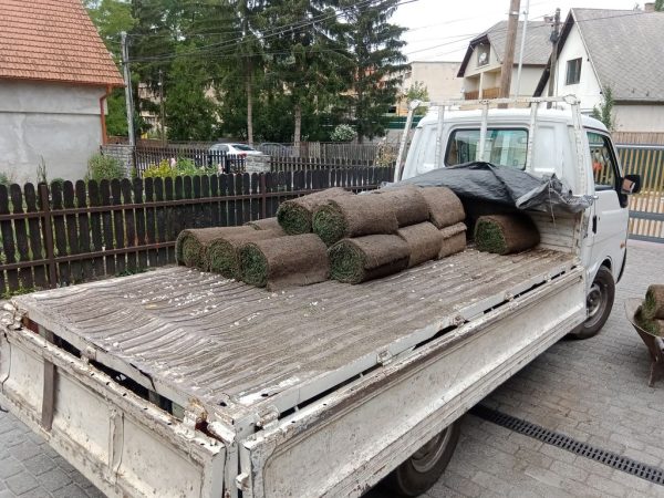 A képen a gyepszőnyeg szállítása látható egy kisteherautó rakterében. A gyepszőnyegek gondosan fel vannak rakva a járműre, hogy biztosítsák biztonságos és hatékony szállítást a telepítés helyszínére. A kisteherautó lehetővé teszi, hogy a gyepszőnyegek épségben érkezzenek meg, és készen álljanak a gyors telepítésre, hogy az új gyep hamarosan gyönyörködtethessen a kertben.