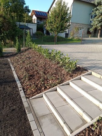 Frissen beültetett rézsű, amelyet lépcső szel át a kényelmes közlekedéshez.